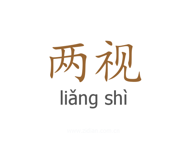 两视