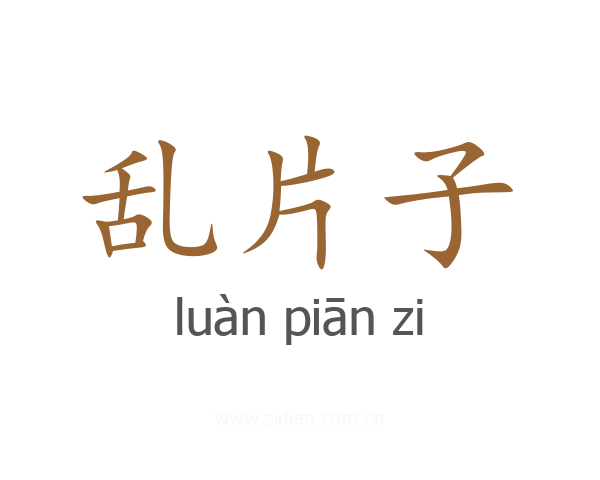 乱片子