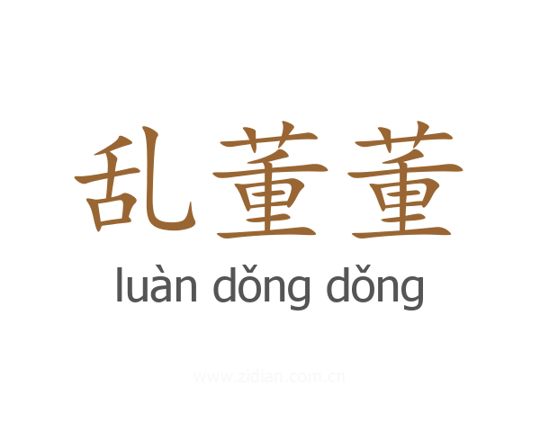 乱董董