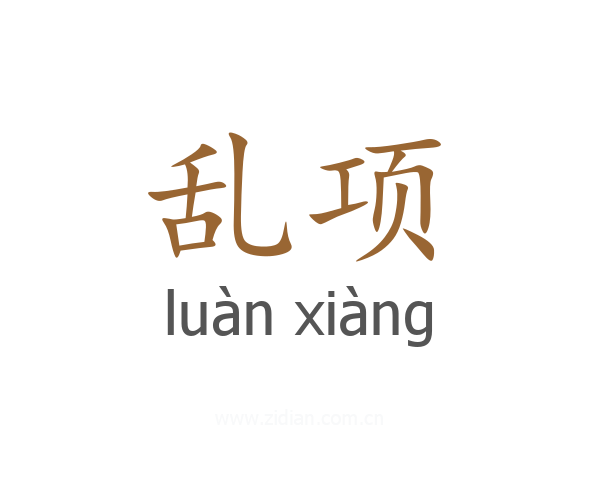 乱项
