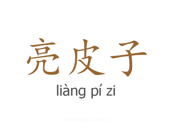 亮皮子