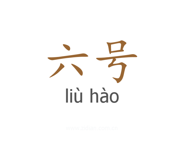 六号