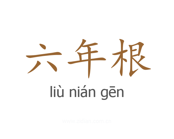 六年根