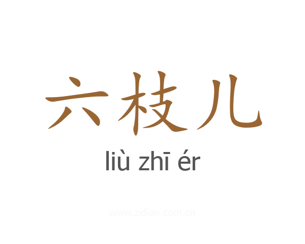 六枝儿