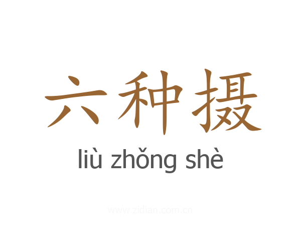 六种摄