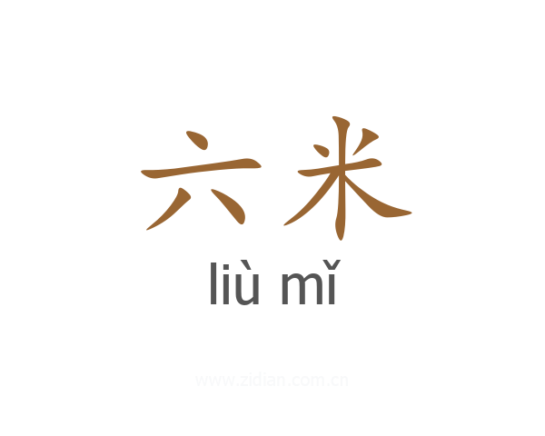 六米