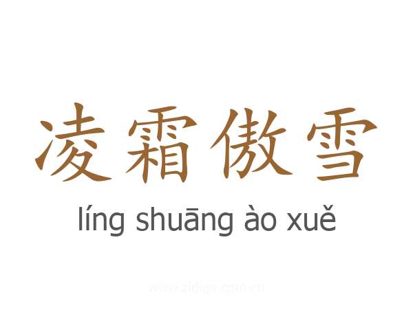 凌霜傲雪