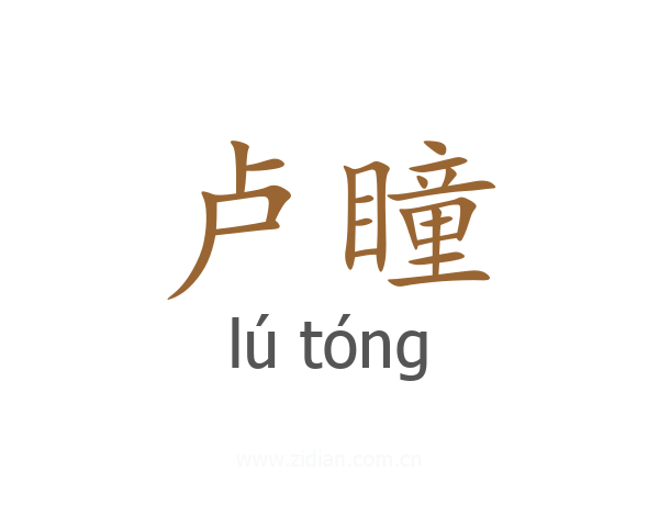 卢瞳