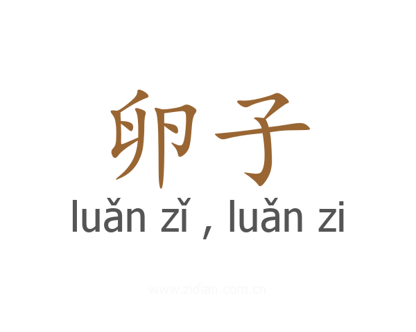 卵子