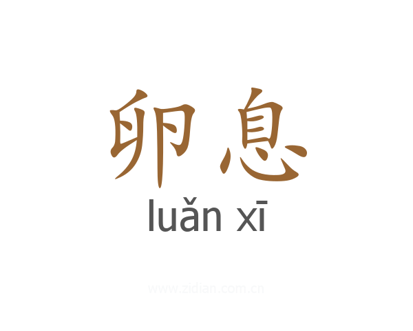 卵息