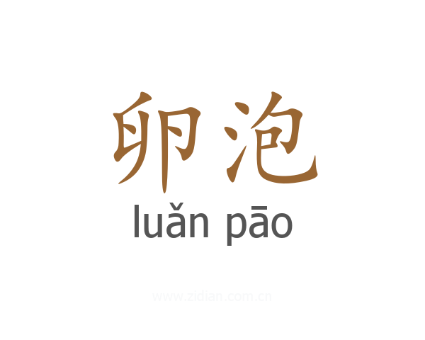 卵泡