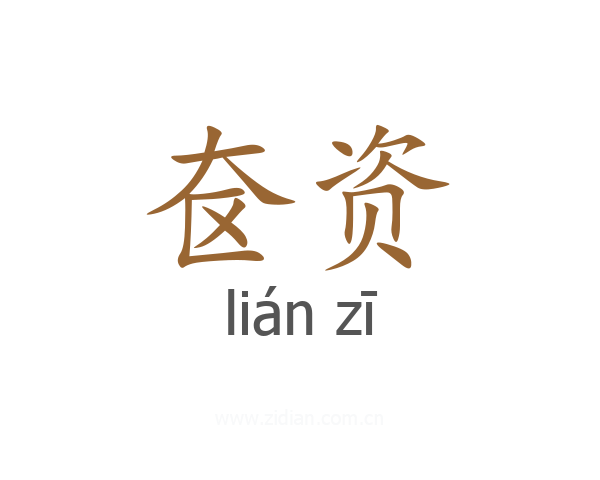 奁资