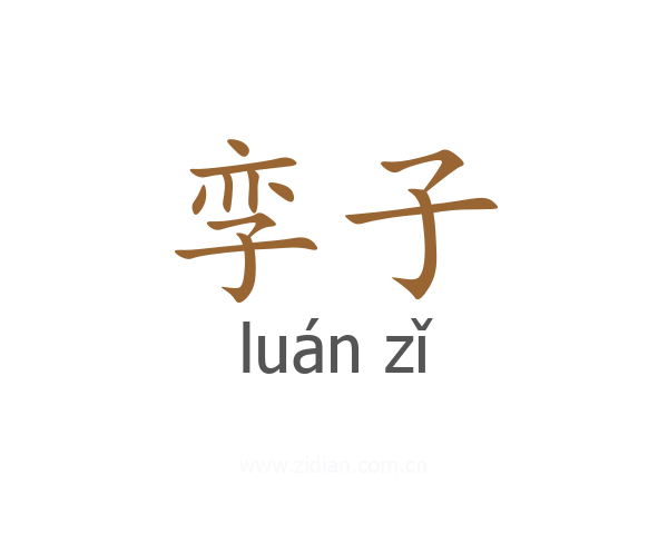 孪子