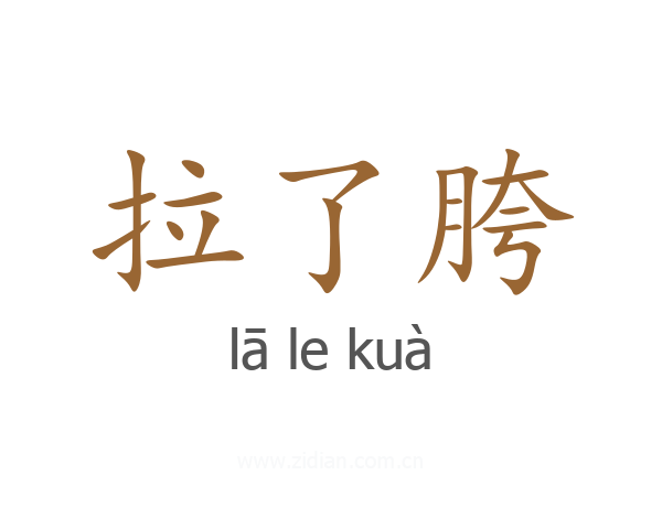 拉了胯