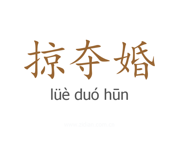 掠夺婚