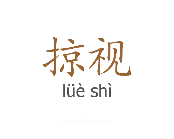 掠视
