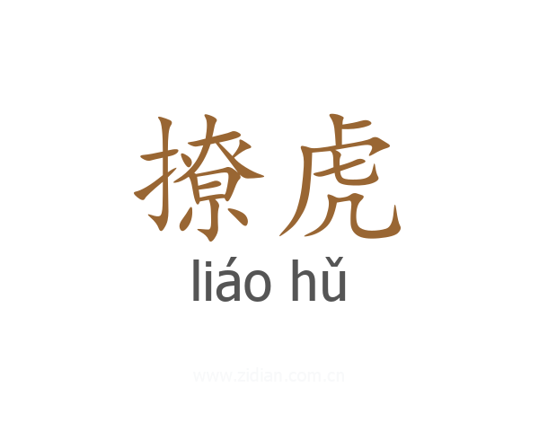 撩虎