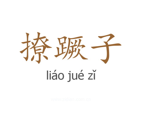 撩蹶子