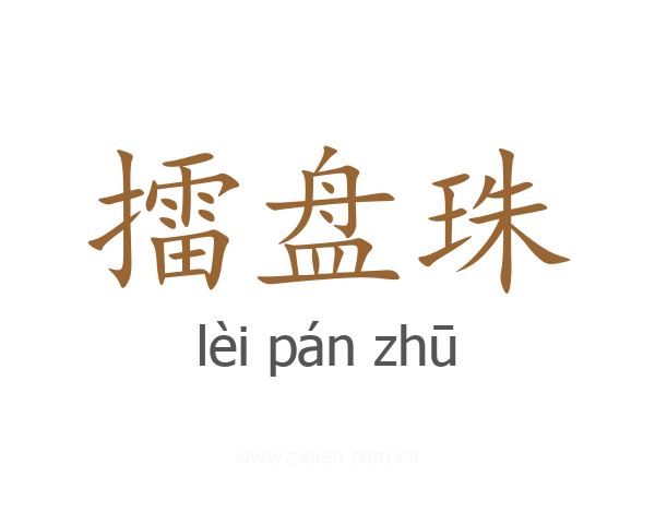 擂盘珠