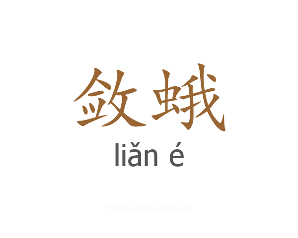敛蛾