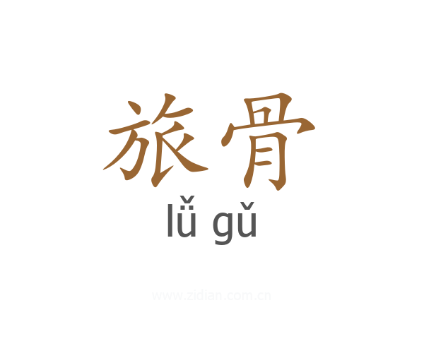 旅骨
