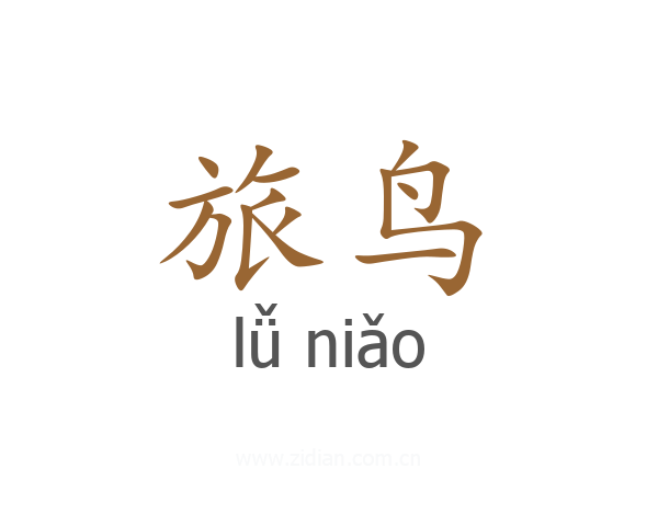 旅鸟