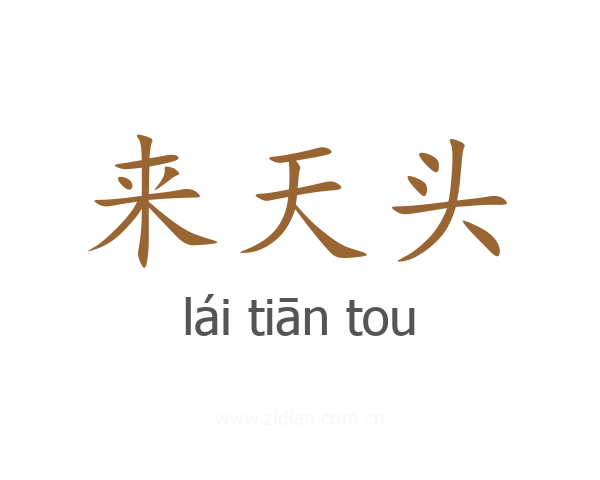 来天头