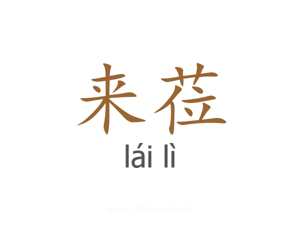 来莅