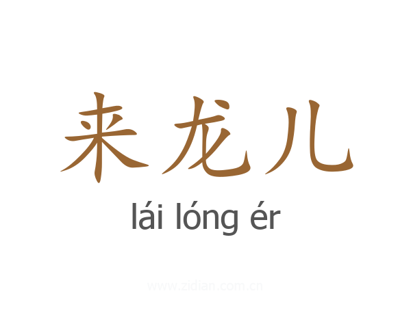 来龙儿