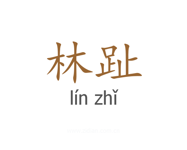 林趾