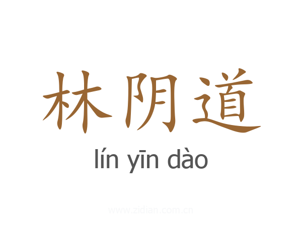 林阴道