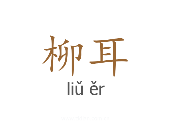 柳耳