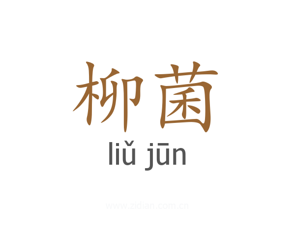 柳菌