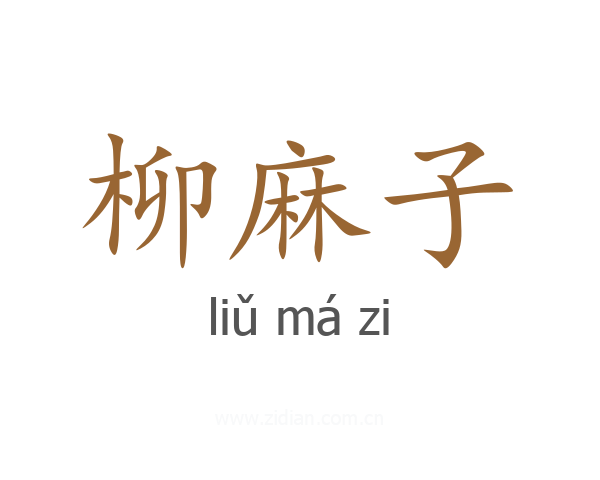 柳麻子