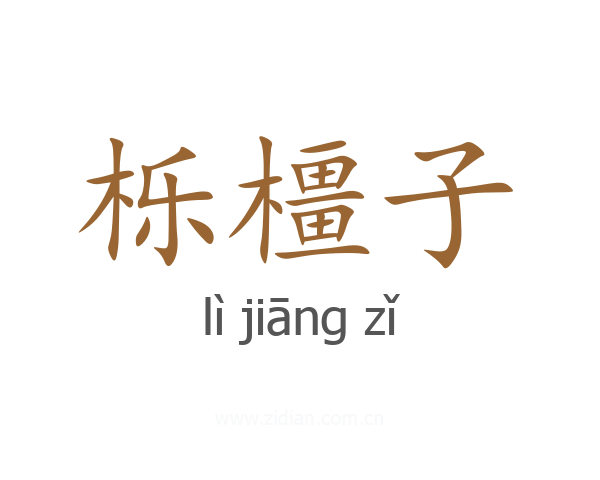 栎橿子