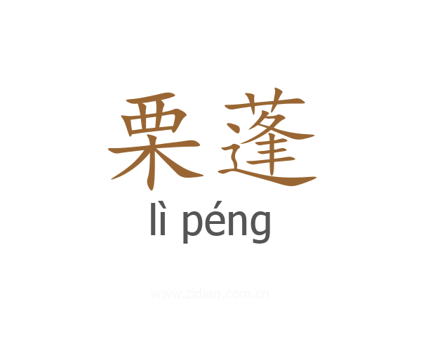 栗蓬