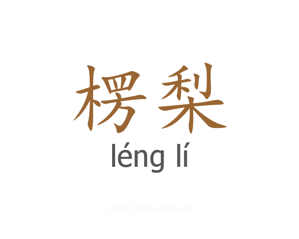 楞梨