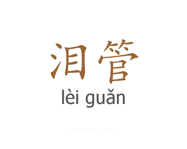 泪管