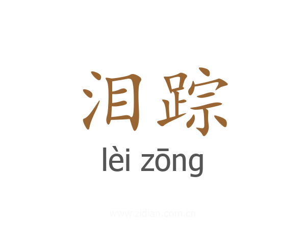 泪踪