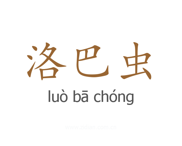 洛巴虫
