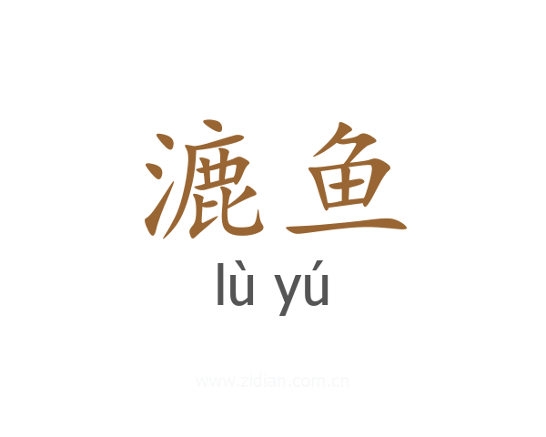 漉鱼