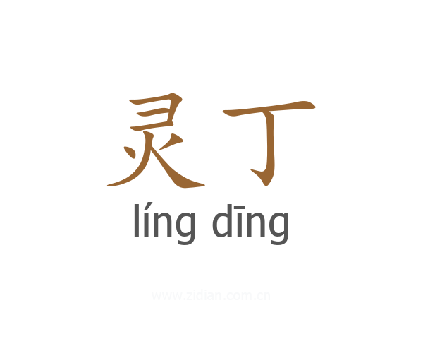 灵丁