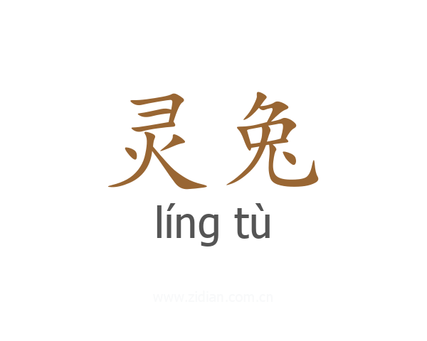 灵兔