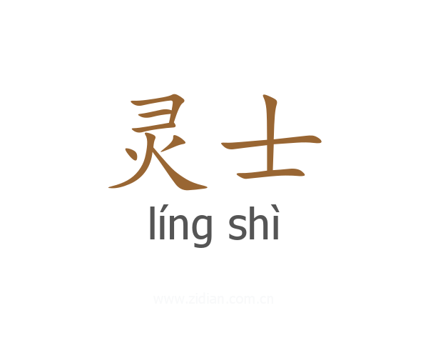灵士