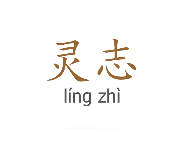 灵志