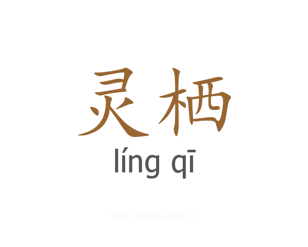 灵栖