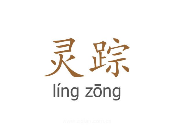 灵踪