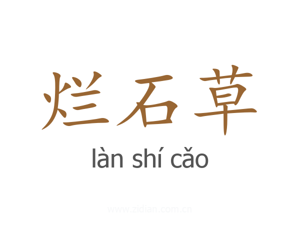 烂石草