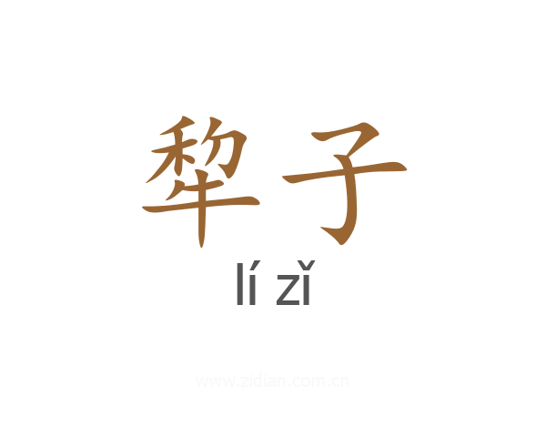 犂子