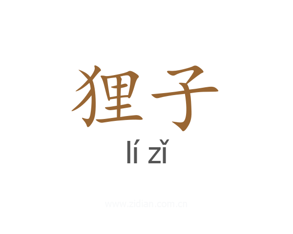 狸子